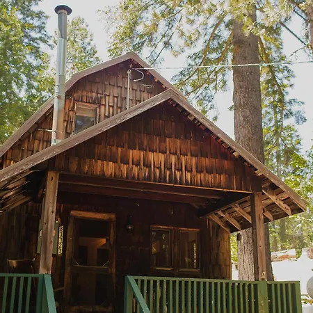 Redwood Grove In Sequoia And Kings Canyon National Park Wilsonia Exterior photo